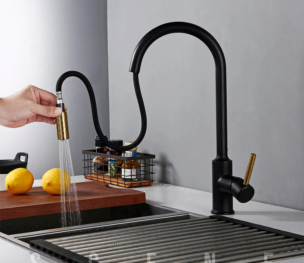 2 in 1 Kitchen Faucet