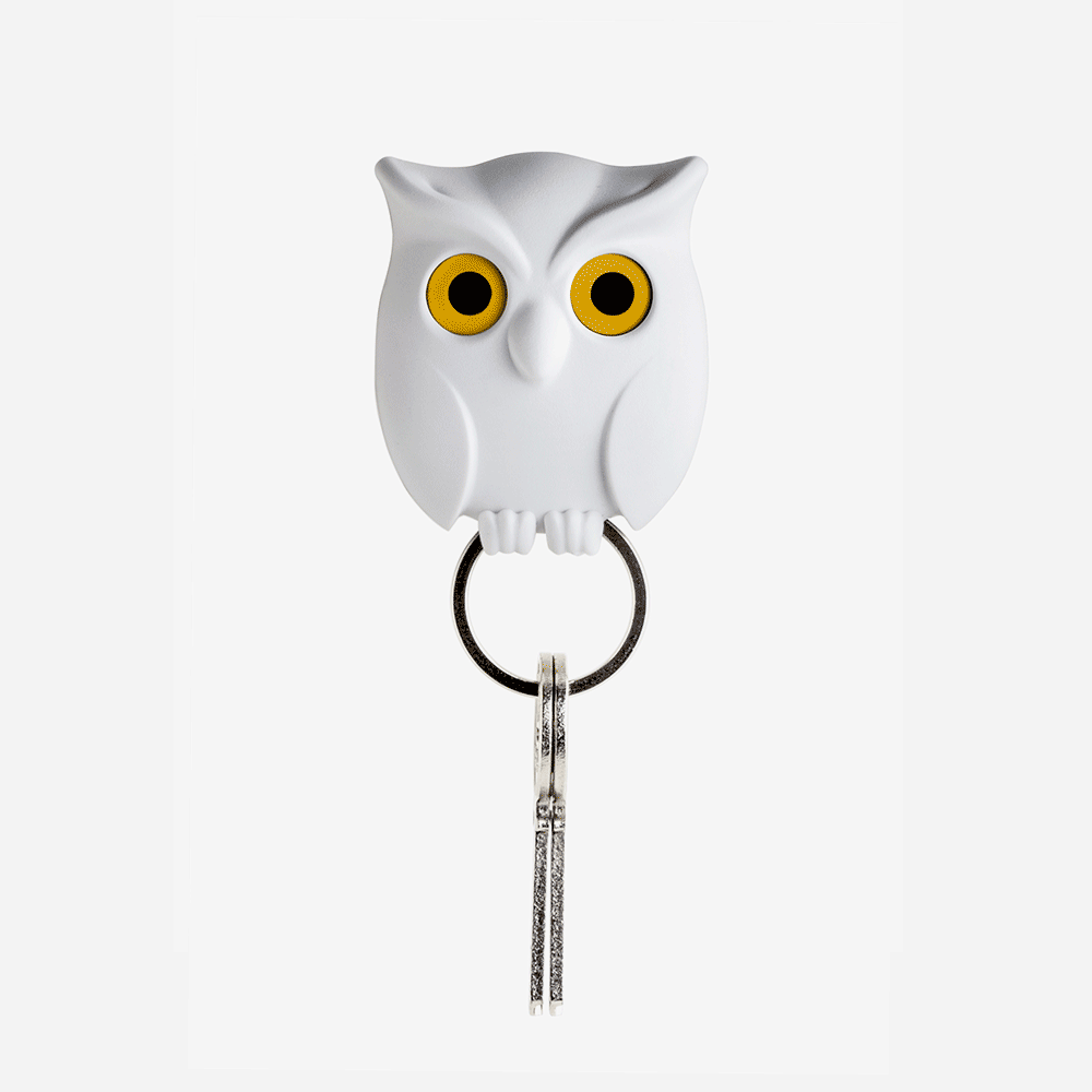 Magnetic Owl Key Holder